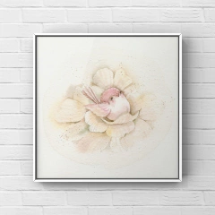 Imagem do Pequeno Pássaro