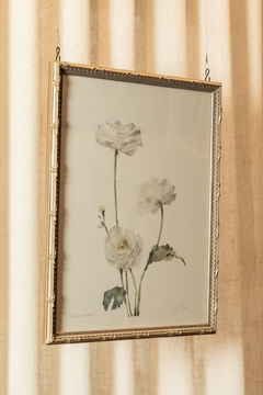 Quadro ranúnculos brancos