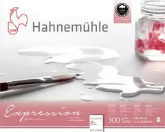 Bloco de Aquarela Expression 300 g/m² na internet