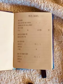 Imagem do Diário do bebê - Morangos azuis