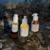 Kit Nutritivo - comprar online