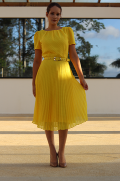 Vestido Plissado Anne - VPA - comprar online