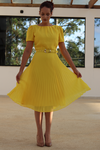 Imagem do Vestido Plissado Anne - VPA