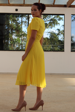 Vestido Plissado Anne - VPA - loja online