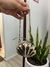 Mini bag concha - comprar online
