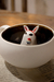 Xícara de café Jason - (cópia) - (cópia) - (cópia) on internet