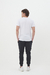 PANTALON JOGGER FRISAD0 (ART 560) - tienda online
