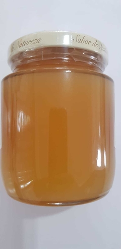 geleia de cupuaçu David 280g - comprar online
