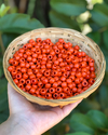 50 miçangas - Laranja