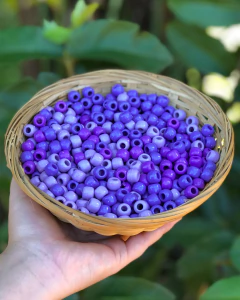 50 miçangas Mix - Roxo - comprar online