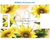 Recorte Sublimado Box - Dia das Mães 45 - comprar online