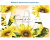 Recorte Sublimado Trapézio Box - Dia das Mães 45 - comprar online