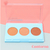 Paleta contorno phallebeauty