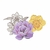 Troquelados die cuts Crate Paper Embellishment Moonlight Magic Ephemera Florals Gold Foil en internet