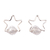 Brinco Metal Estrela BC3946 - Lieka Bijoux