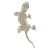 Broche Strass Lagartixa BRG8607