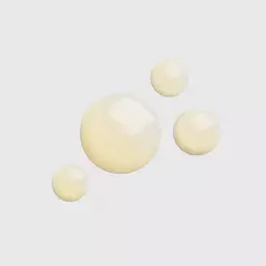 Elixir Absoluto de Nutrición - Aceite Facial | TIMEXPERT RIDES en internet