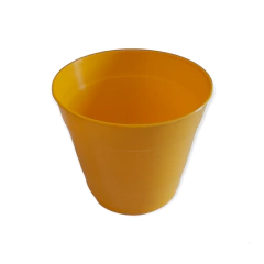 ROCIO TA PLASTIC en internet