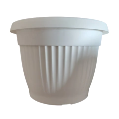 DENISE MATRI en internet