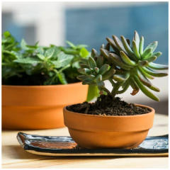 BLUM CAZUELA APILABLE