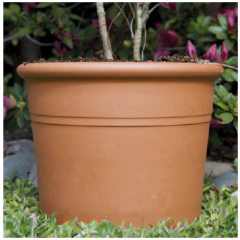 BLUM CILINDRO CON BORDE