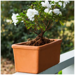 BLUM JARDINERA COMUN