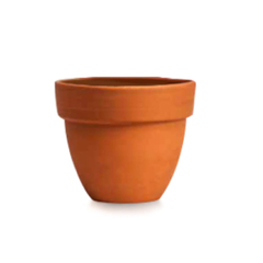 BLUM PORTEÑA - comprar online