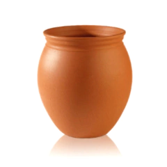 BLUM AGUSTINIANA - comprar online