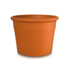 BLUM CILINDRO CON BORDE - comprar online