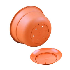 BOLS CON PLATO MATRI - BLONIA