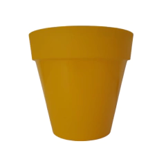 JOSEPHINE MATRI en internet