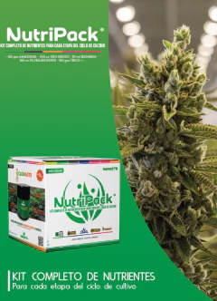 NUTRI PACK NAMASTE - BLONIA