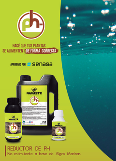 REDUCTOR PH NAMASTE - Balumba Deco & Garden
