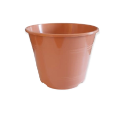 Imagen de ROCIO TA PLASTIC