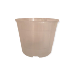 ROCIO TA PLASTIC - BLONIA