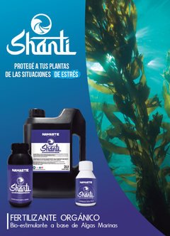 SHANTI NAMASTE - Balumba Deco & Garden