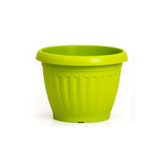 IBIZA TA PLASTIC - BLONIA