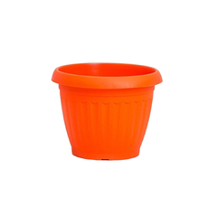 IBIZA TA PLASTIC - tienda online