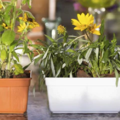 JARDINERA MINI TA PLASTIC