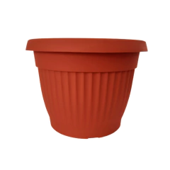 DENISE MATRI - tienda online