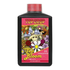 TOP BLOOM TOP CROP - comprar online