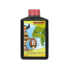 TOP COCO B TOP CROP - comprar online