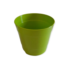 Imagen de ROCIO TA PLASTIC