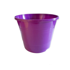 ROCIO TA PLASTIC - comprar online