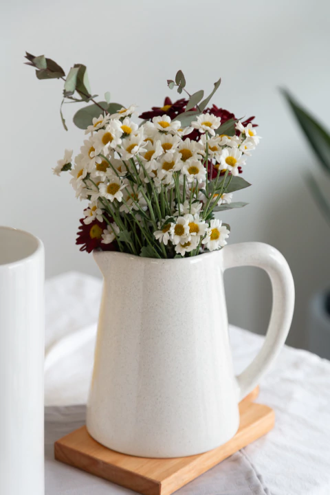 Jarra Alaska - comprar online