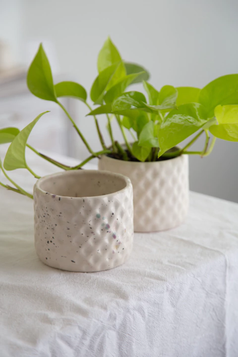 Maceta Piña - 2 colores disponibles