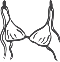 ENVIÓS A TODO EL PAÍS.