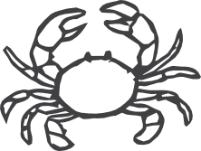 3 CUOTAS SIN INTERES.