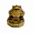 Sapo da Fortuna - comprar online