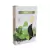 Velas T-light Chá Verde (Green Tea)